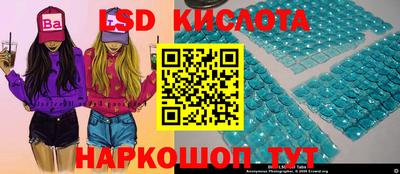 шишки Краснодар