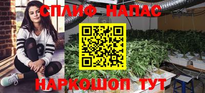 шишки Краснодар