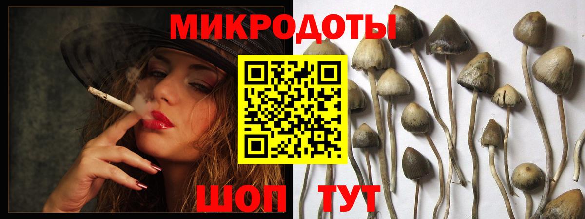Шелехов  Галлюциногенные грибы мицелий  Вход с VPN 